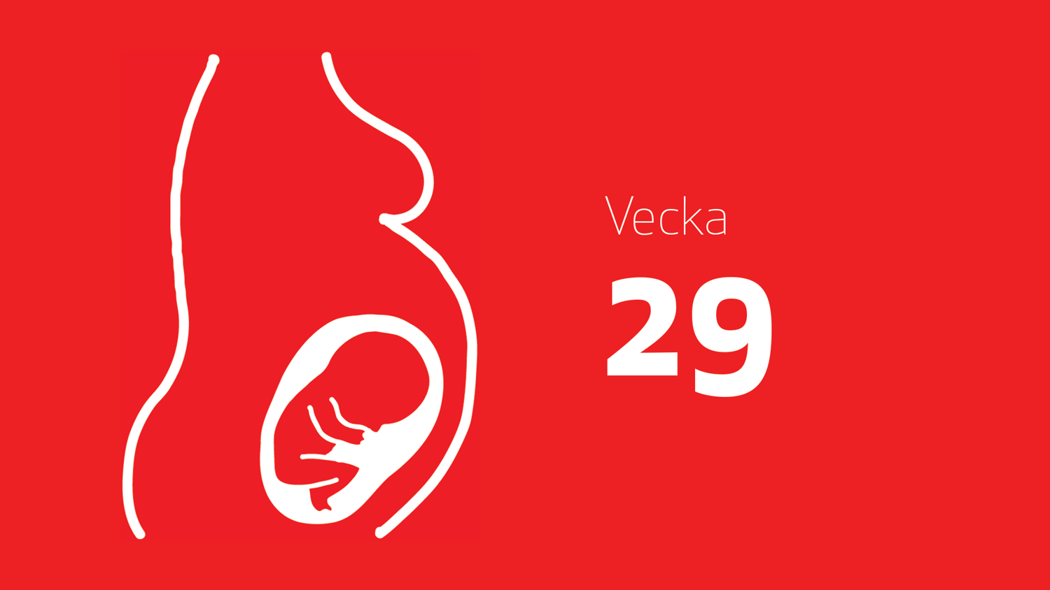 Gravid vecka 29