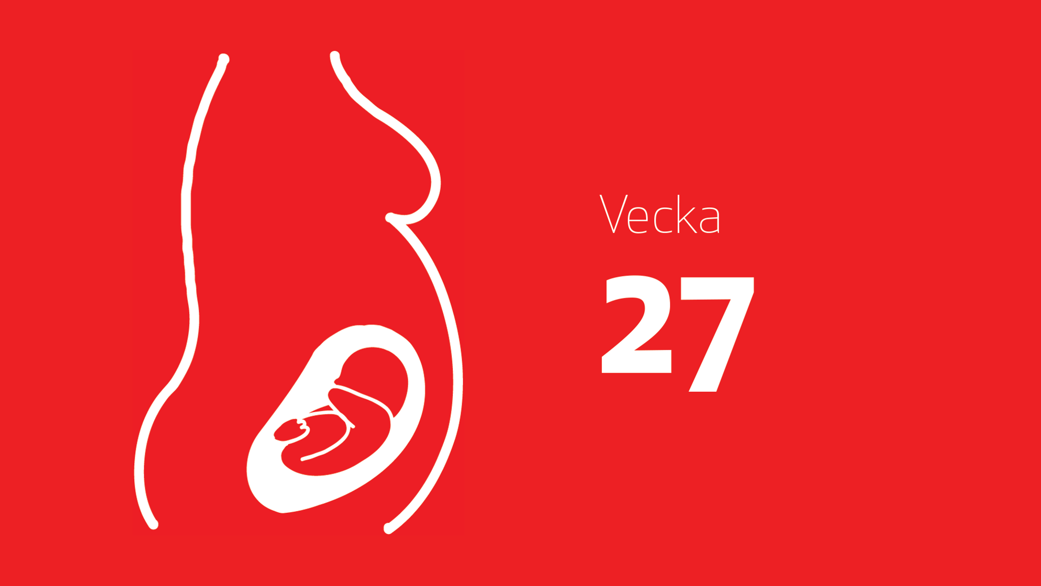 Gravid vecka 27