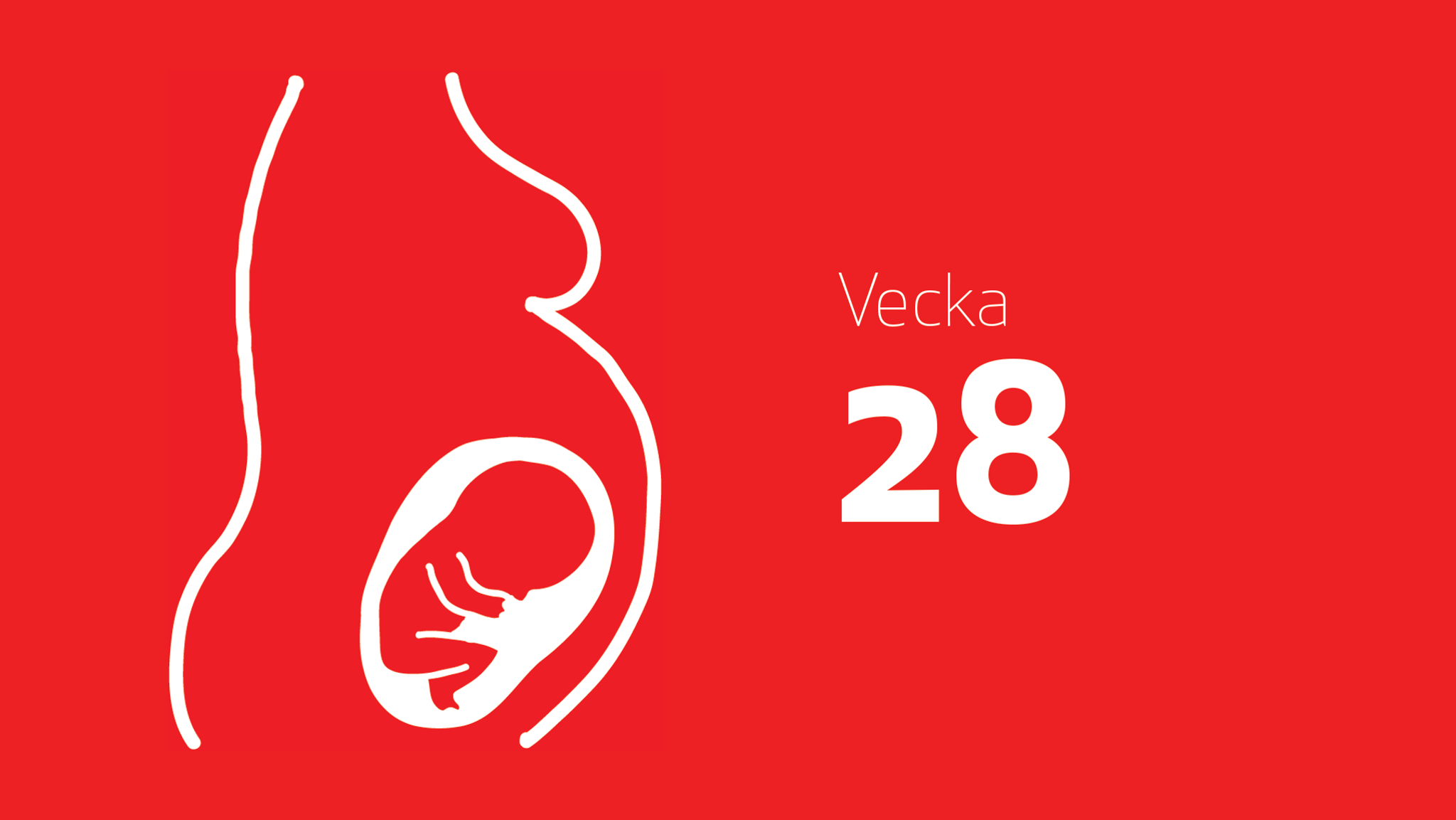 Gravid vecka 28